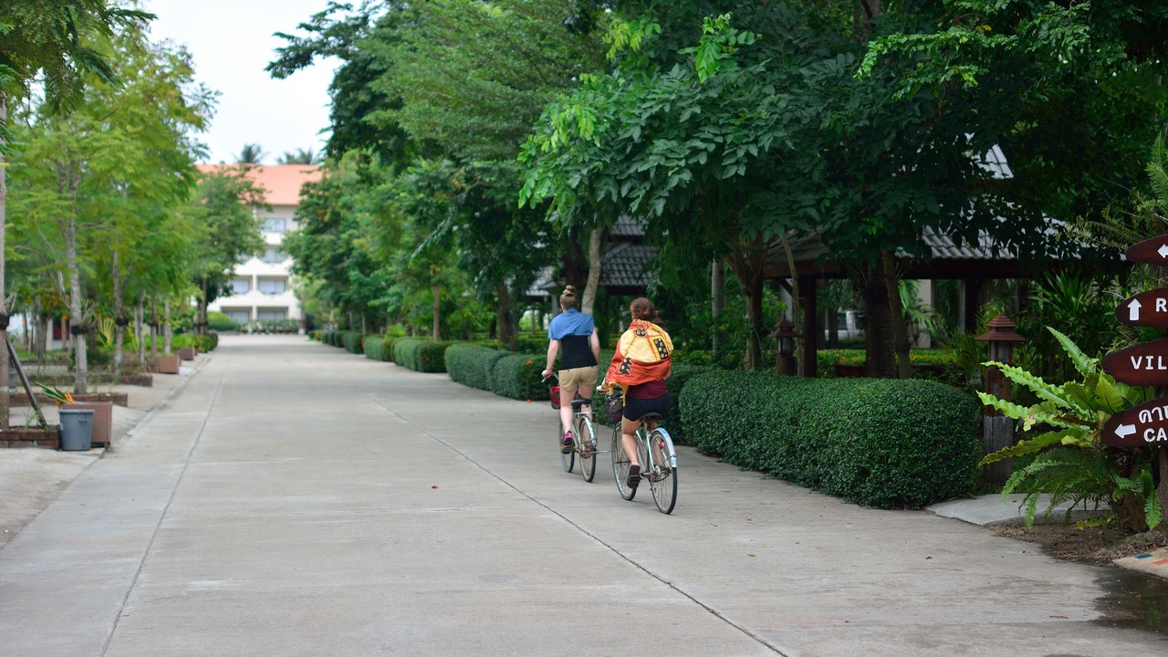 Photo of Others in Thong Chai