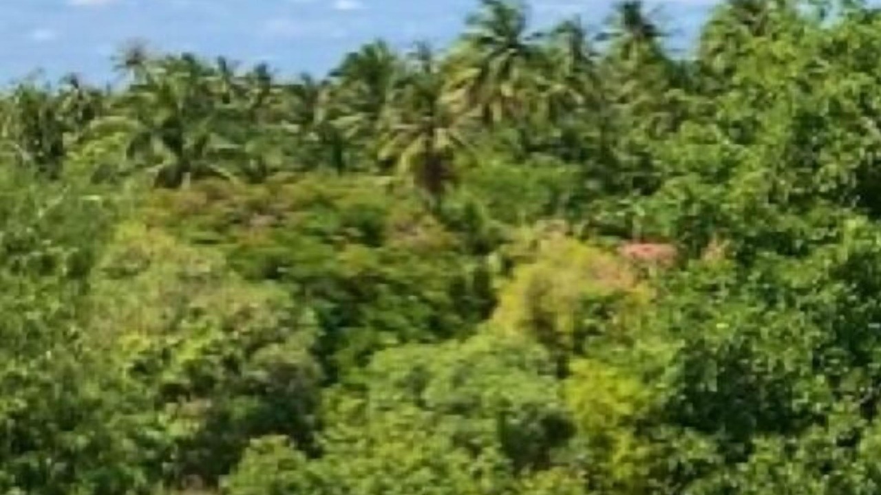Photo of Outdoor in Damnoen Saduak