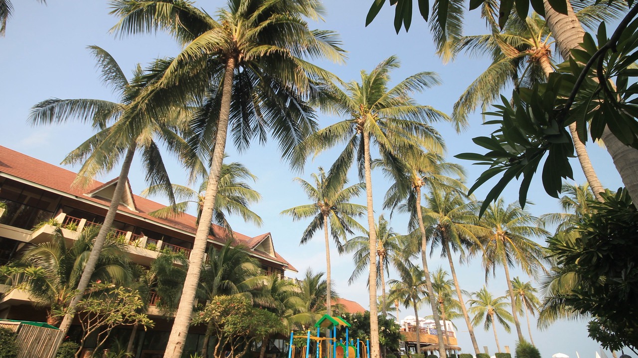 Photo of Outdoor in Baan Tai