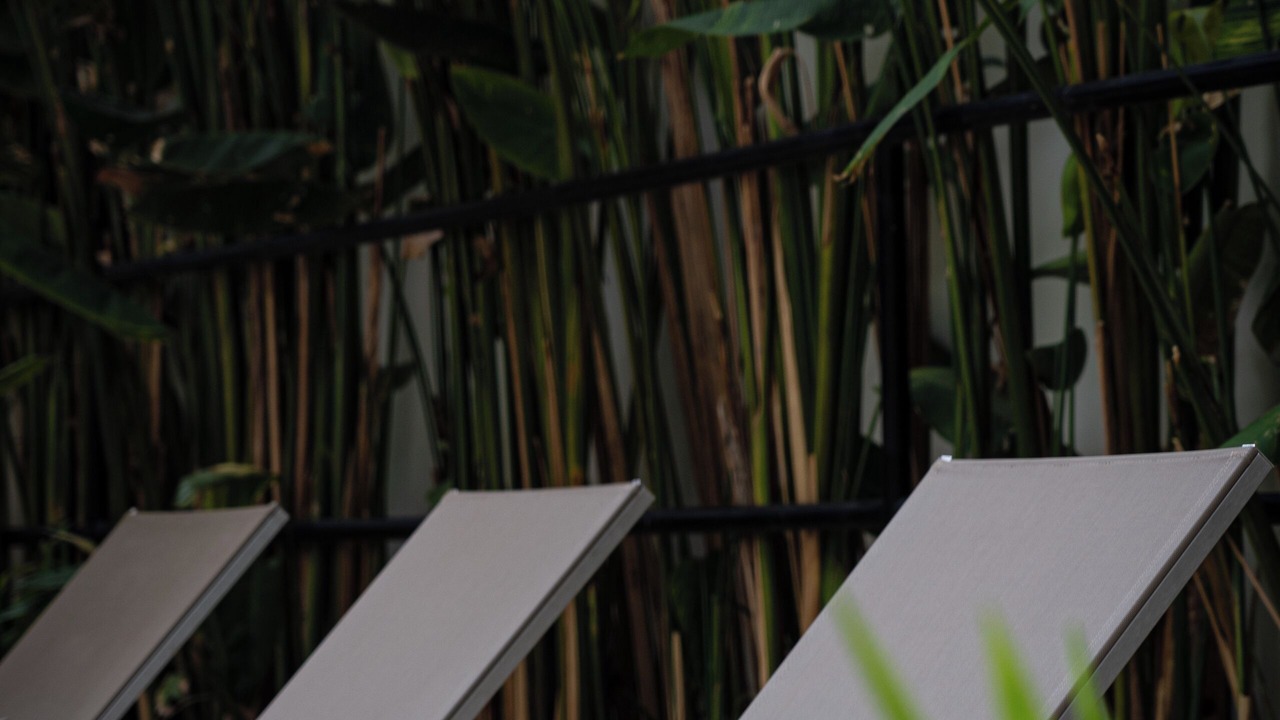 Photo of Outdoor in Siem Reap