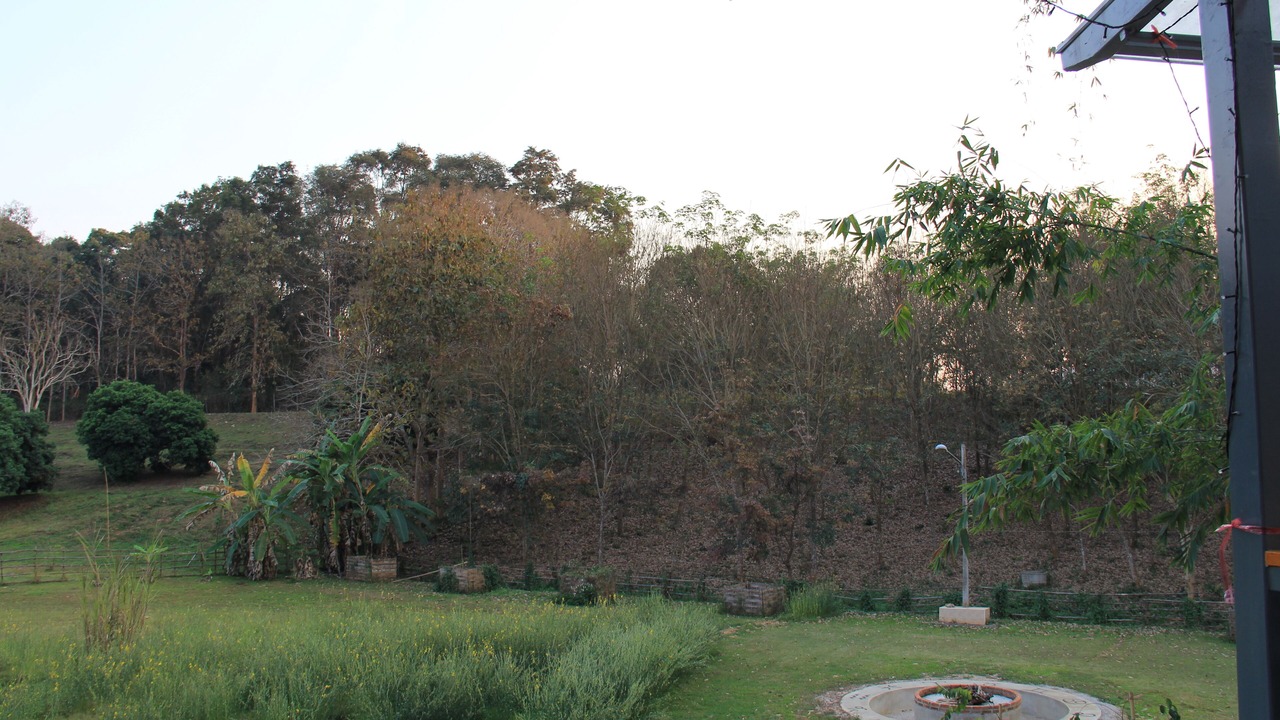Photo of Others in Mae Chan