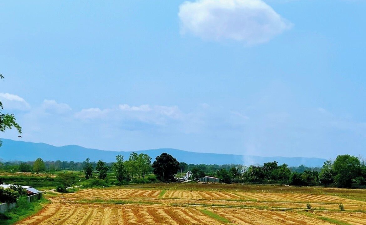 Photo of Outdoor in Chiang Rai