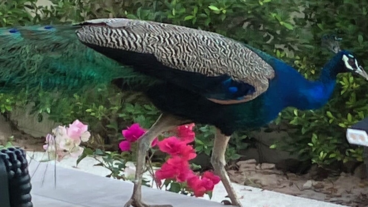 Photo of Outdoor in Pranburi