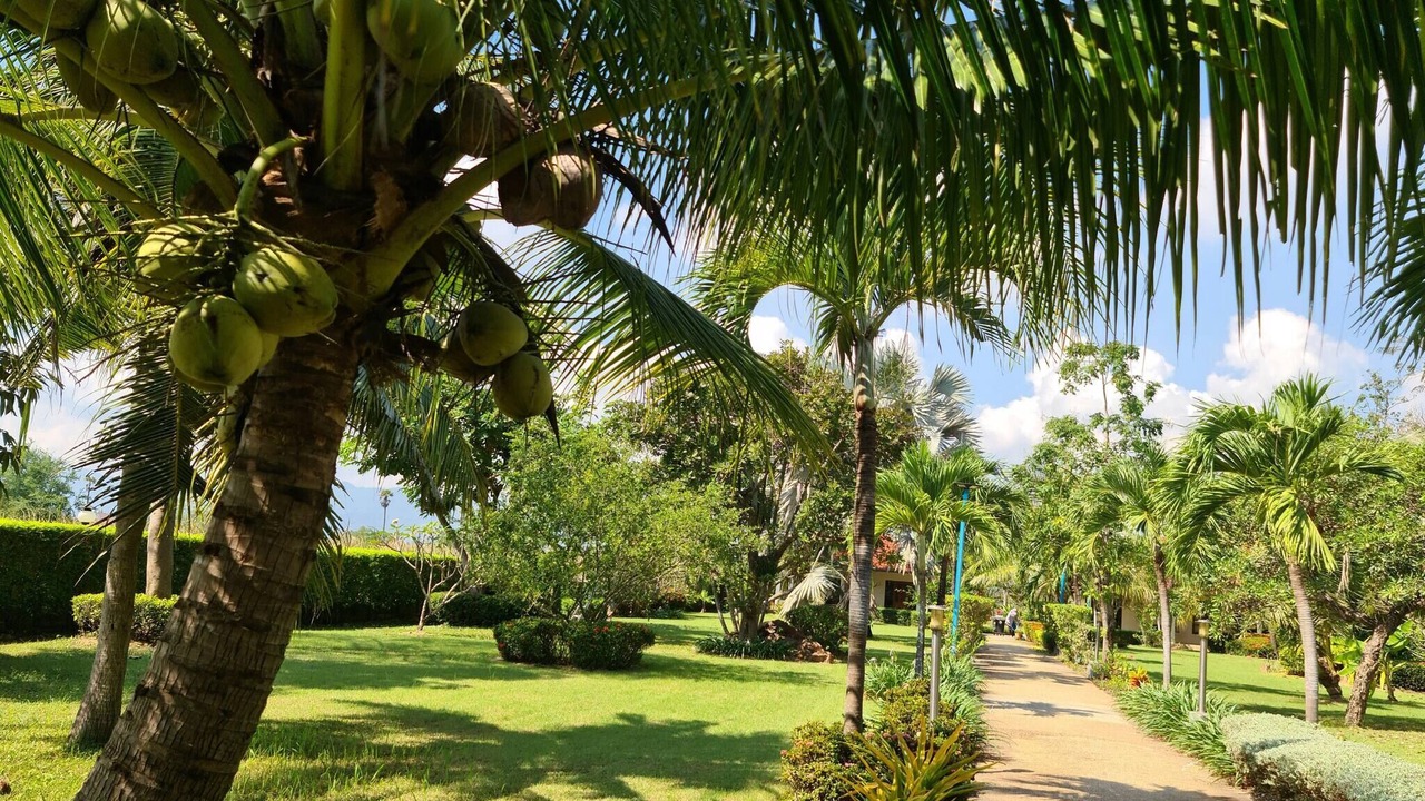 Photo of Outdoor in Cha-am