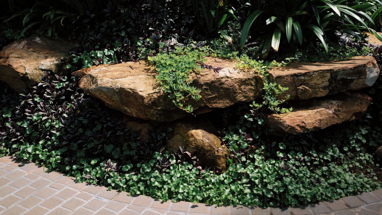 Photo of Outdoor in Nong Thale