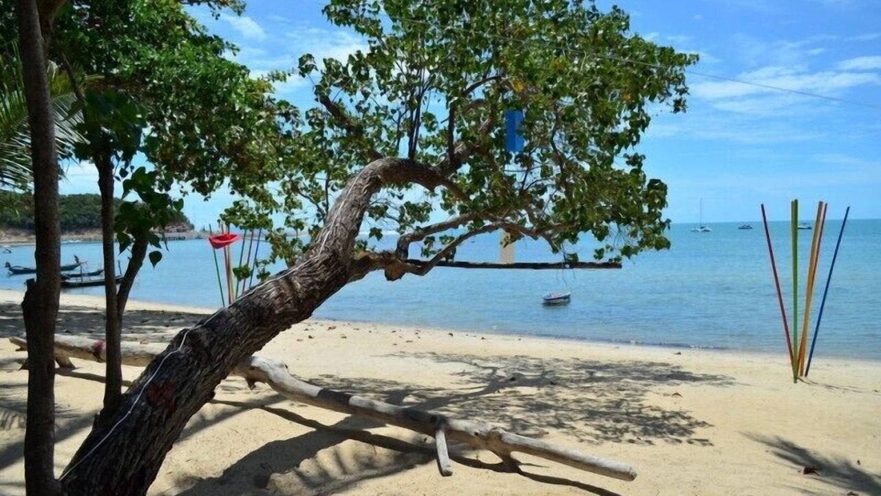 Photo of Others in Lipa Noi