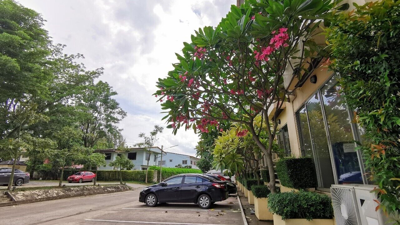 Photo of Outdoor in Bang Khla