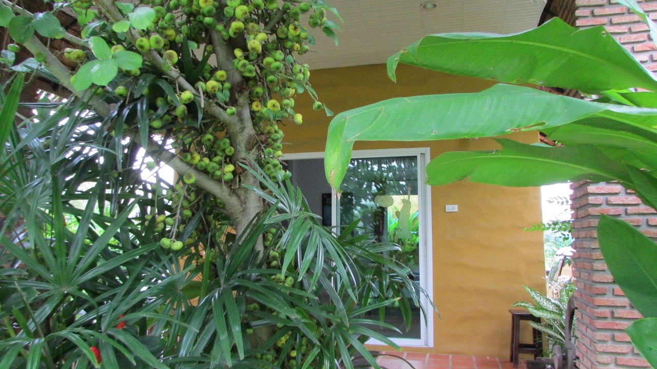 Photo of Bedroom in Rangsit