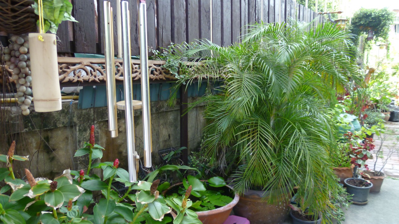 Photo of Outdoor in Nonthaburi