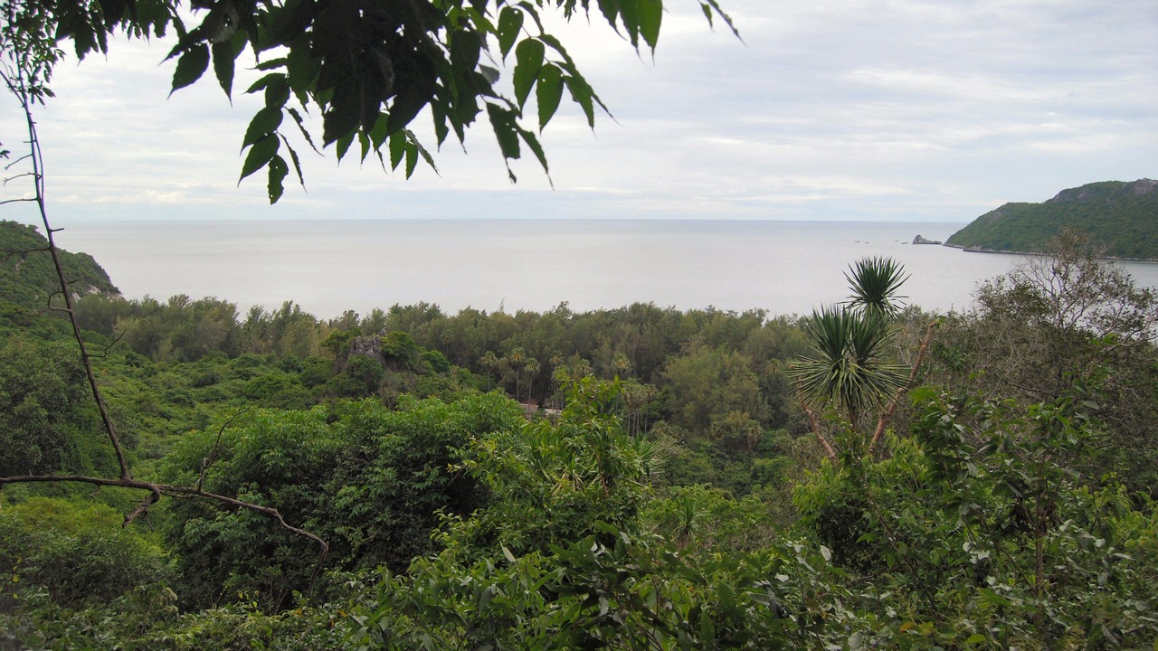Photo of Others in Sam Roi Yot