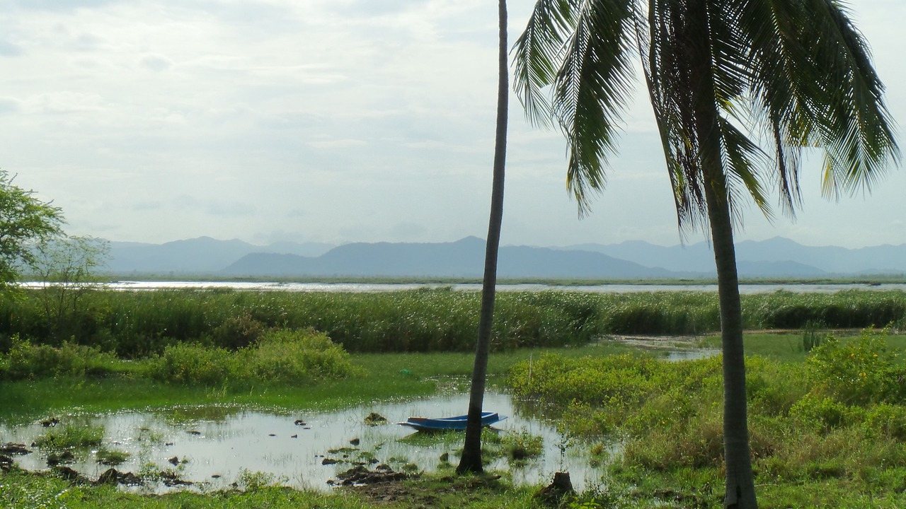 Photo of Others in Sam Roi Yot