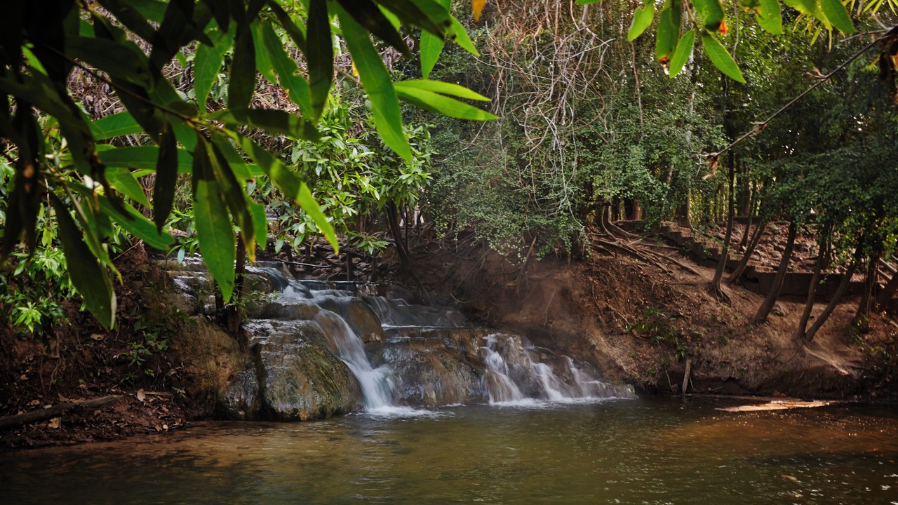Photo of Others in Khlong Thom
