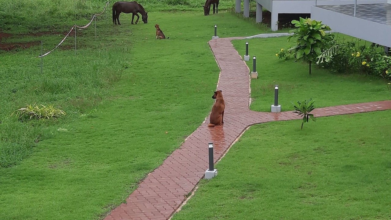 Photo of Outdoor in Ko Mak
