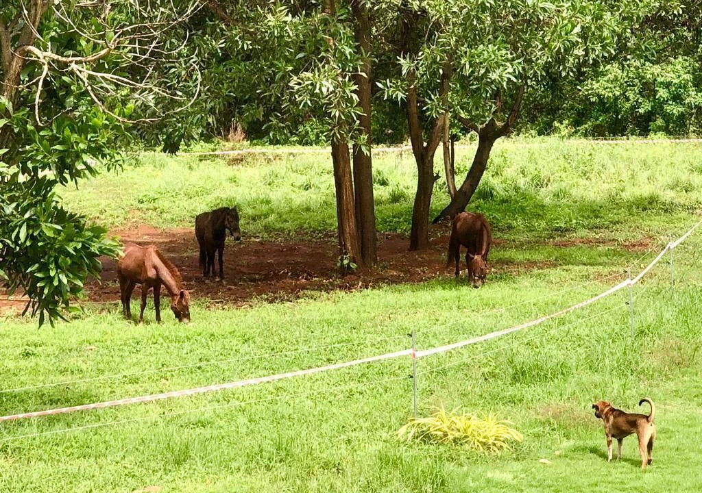 Photo of Outdoor in Ko Mak