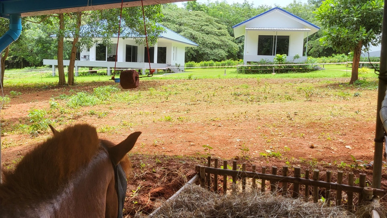 Photo of Outdoor in Ko Mak