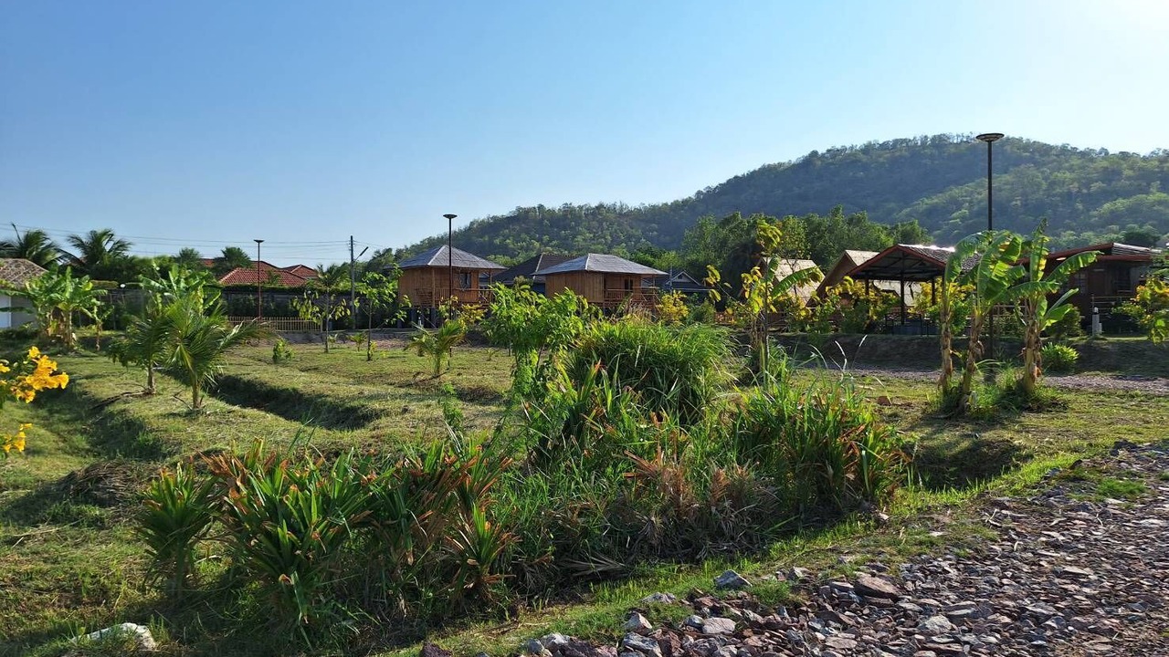 Photo of Others in Sam Phraya