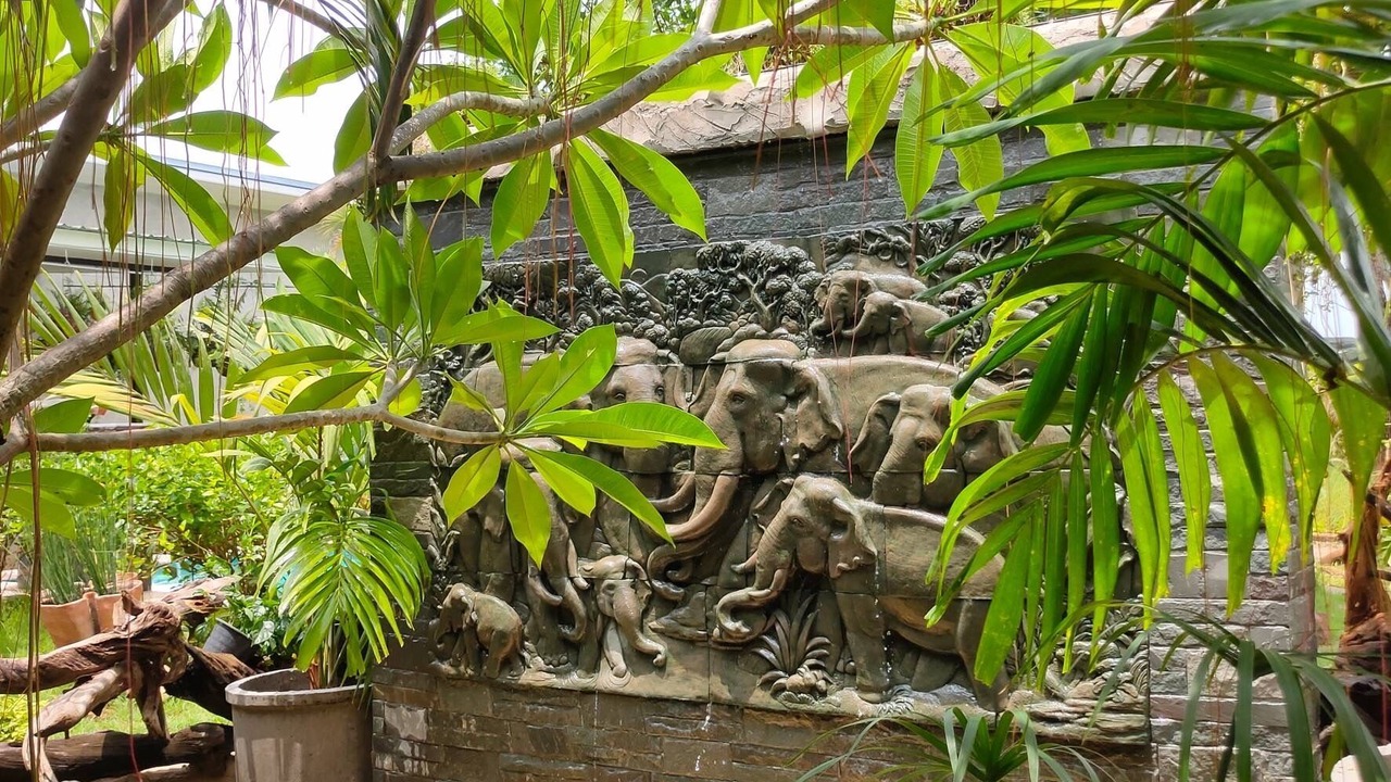 Photo of Outdoor in Saraphi
