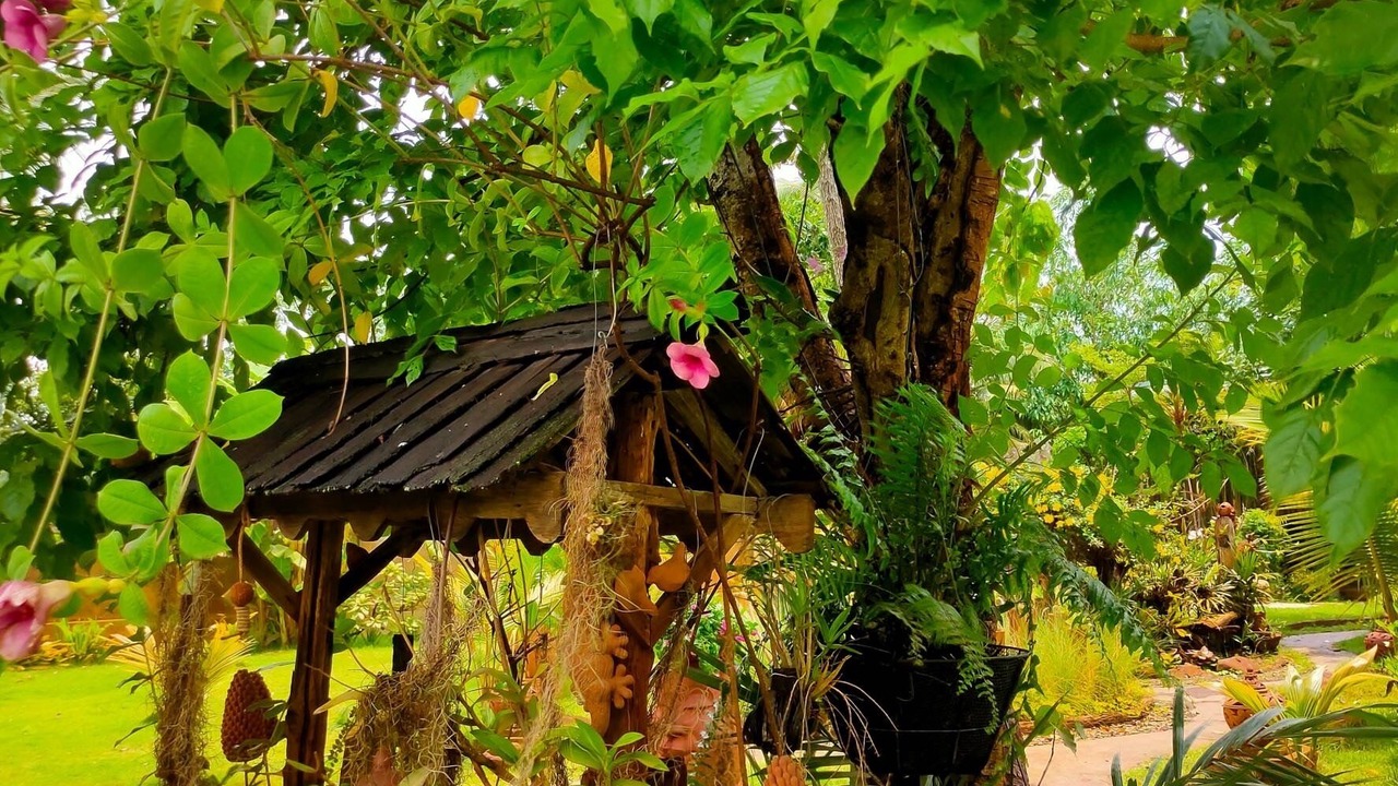 Photo of Outdoor in Saraphi