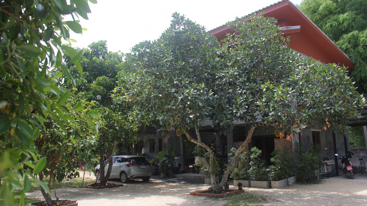 Photo of Outdoor in Ko Pha-ngan