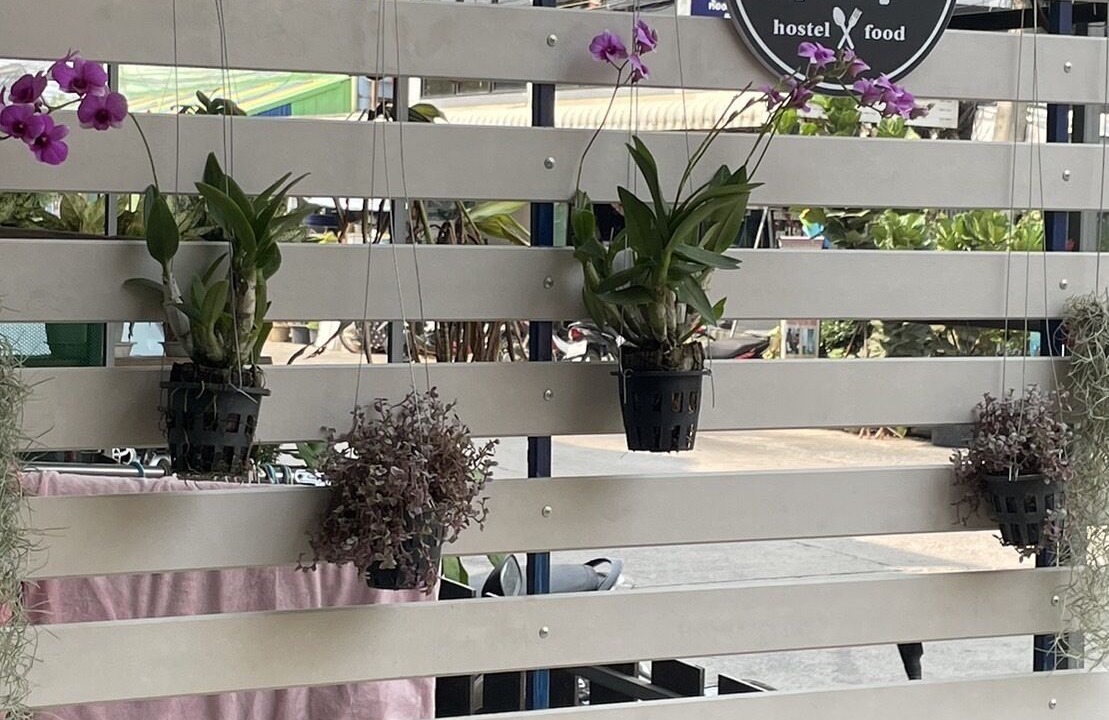 Photo of Outdoor in Phitsanulok