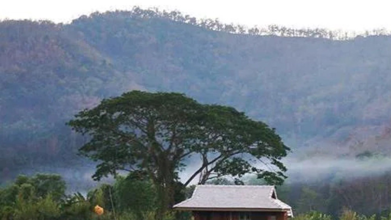 Photo of Outdoor in Samoeng