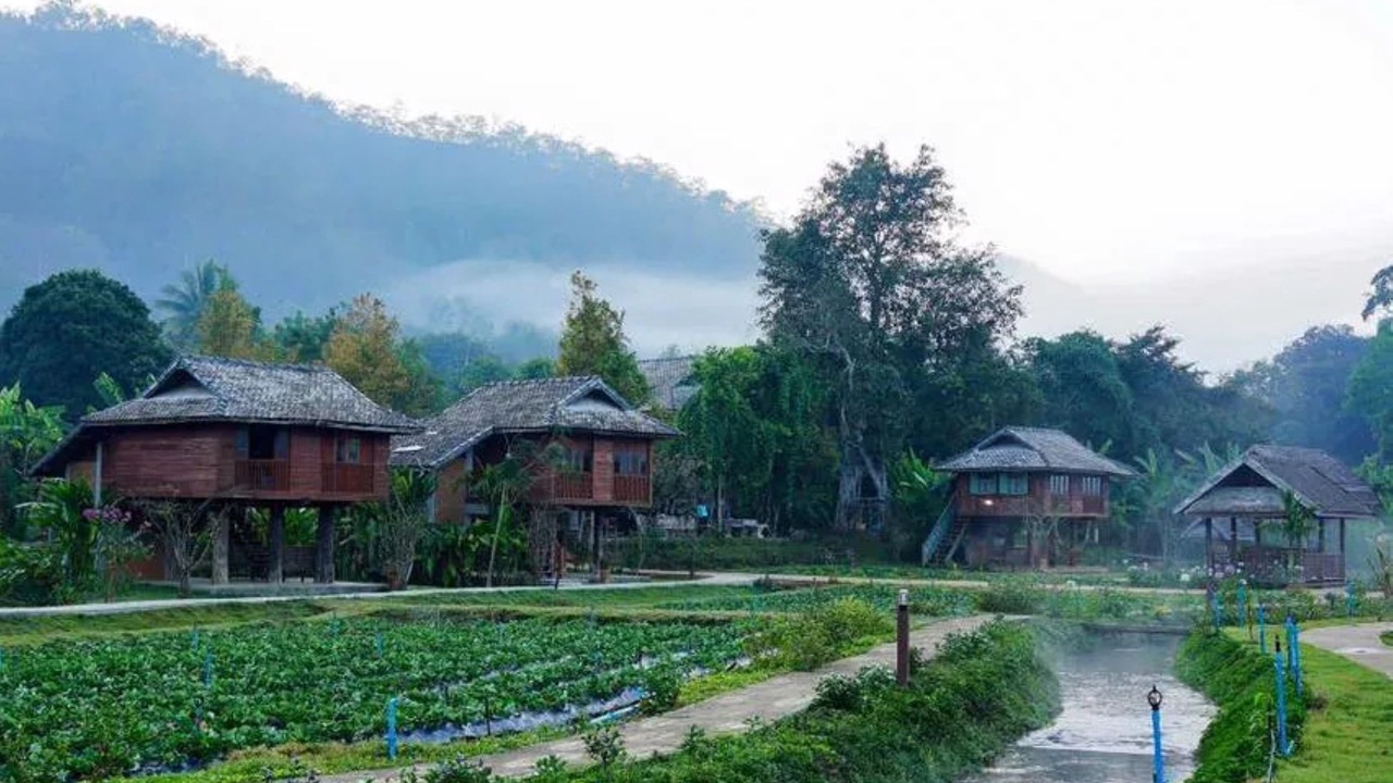 Photo of Outdoor in Samoeng