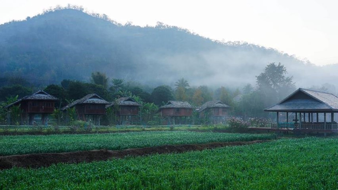 Photo of Outdoor in Samoeng