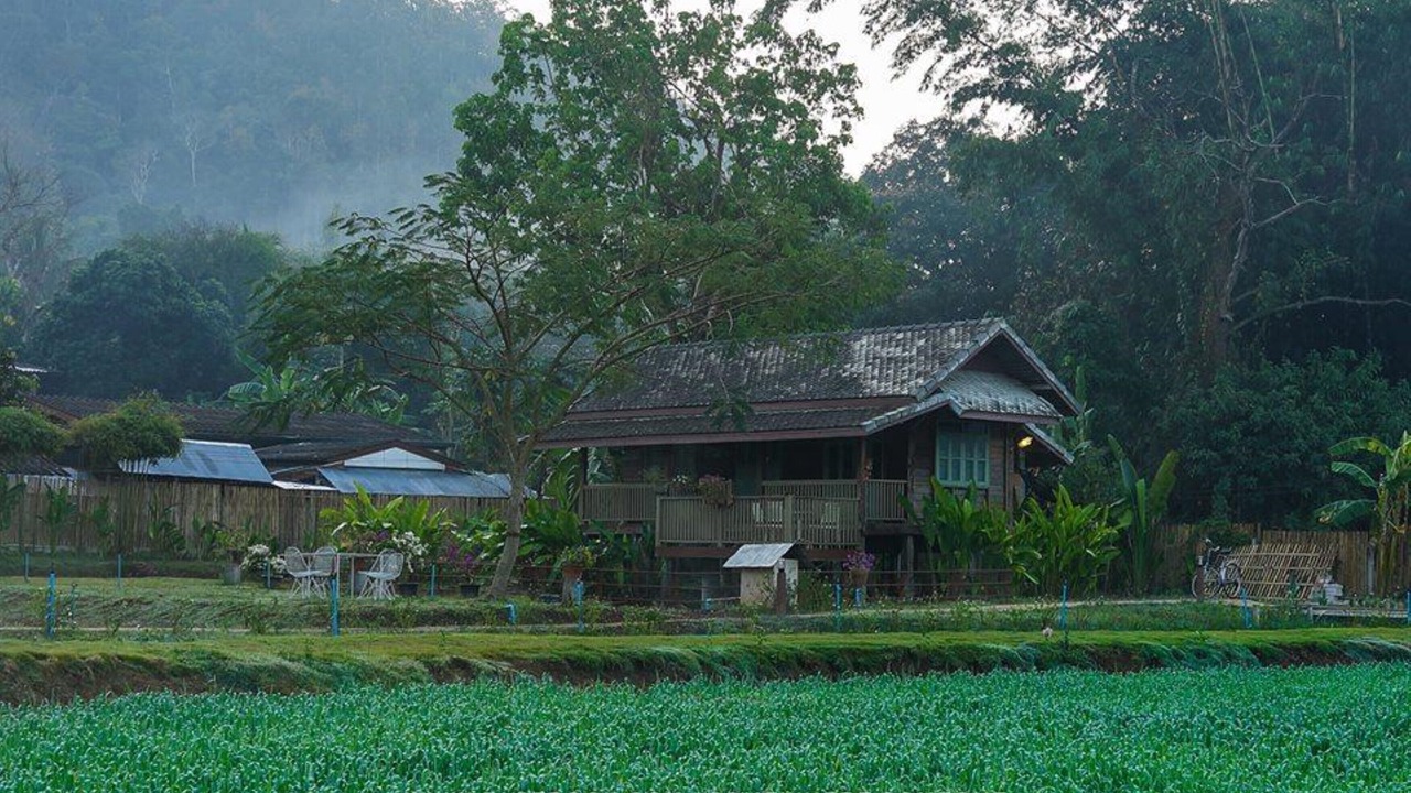 Photo of Outdoor in Samoeng