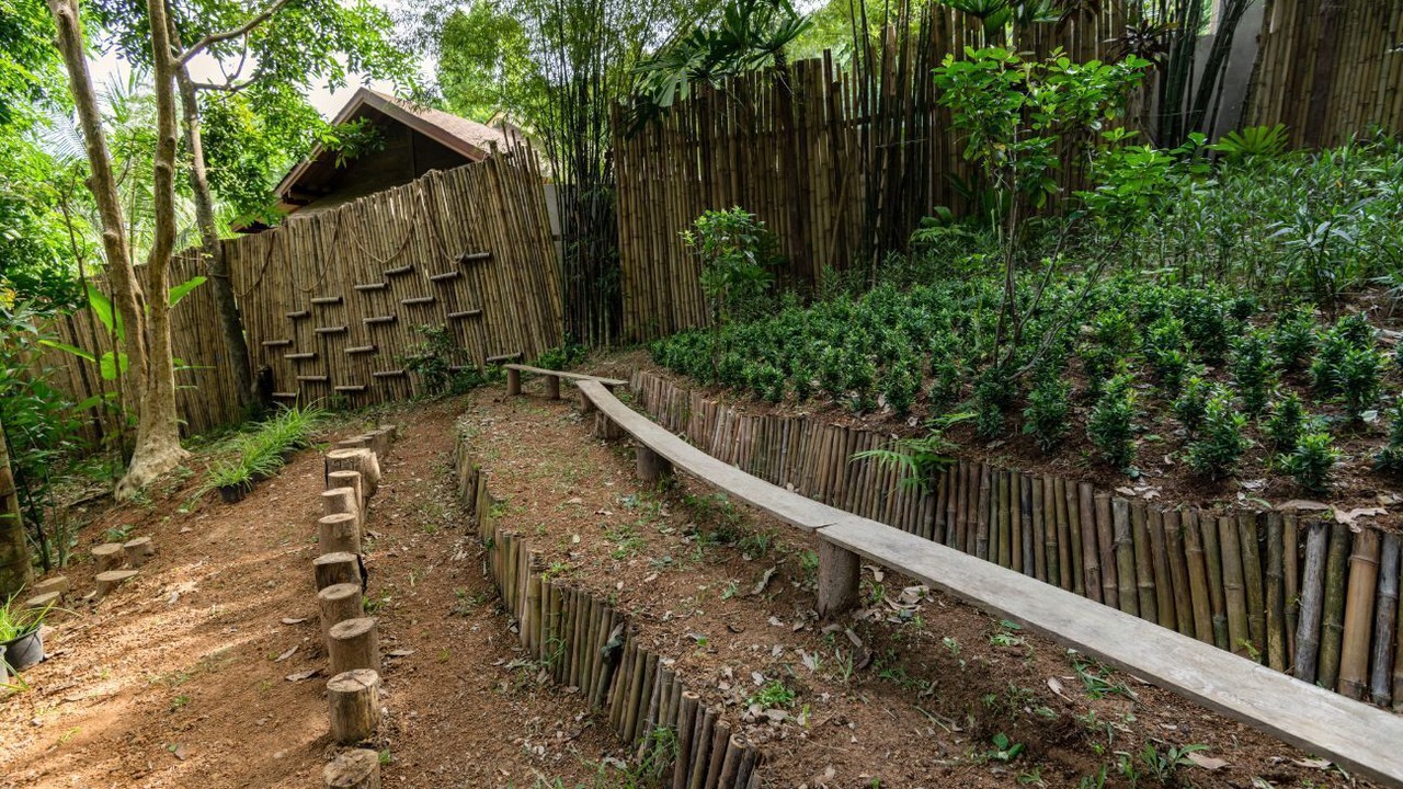 Photo of Outdoor in Ko Yao