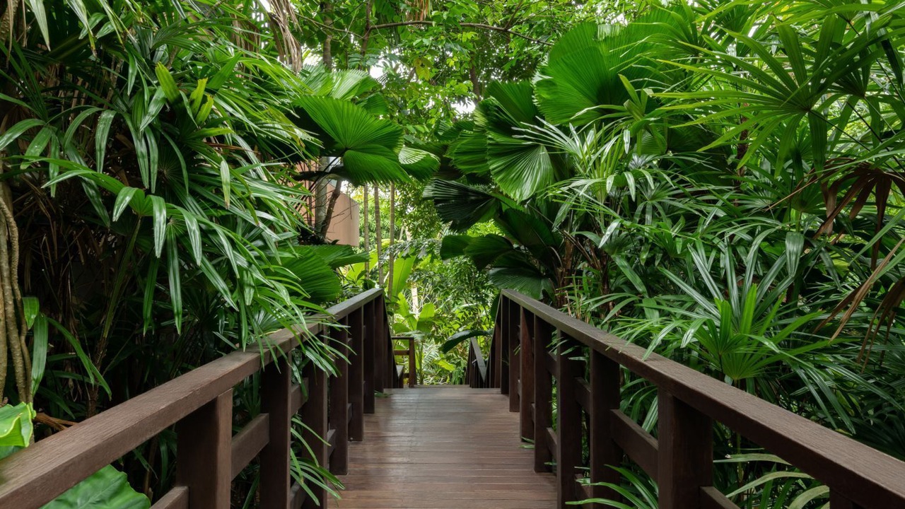 Photo of Outdoor in Ko Yao