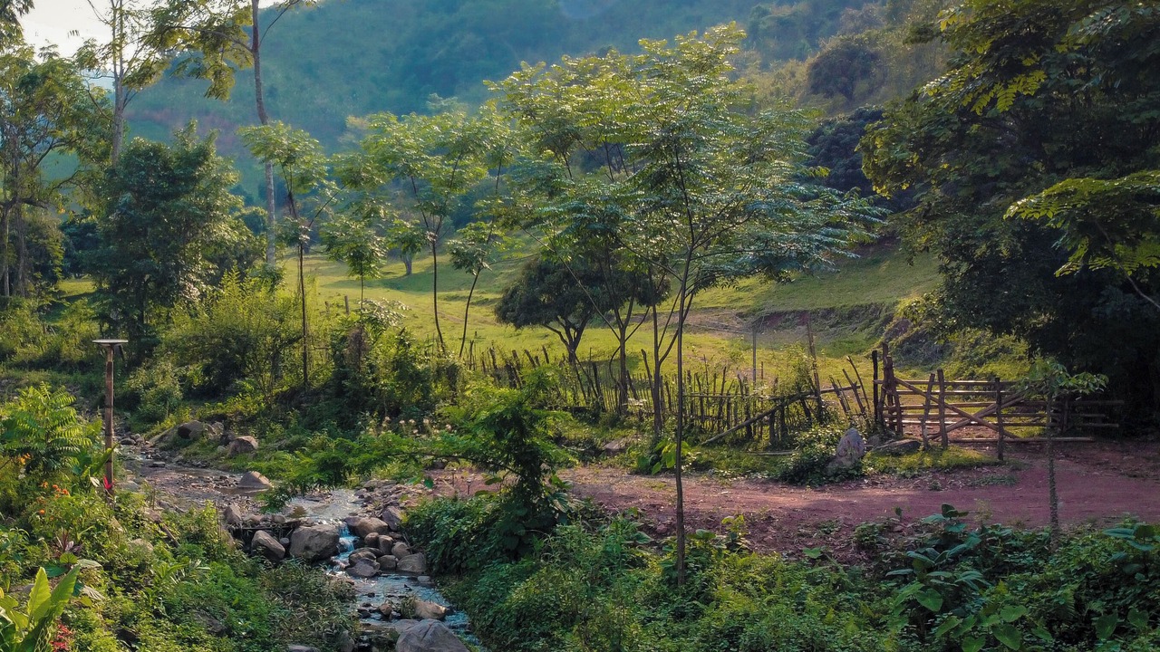 Photo of Outdoor in Bo Kluea
