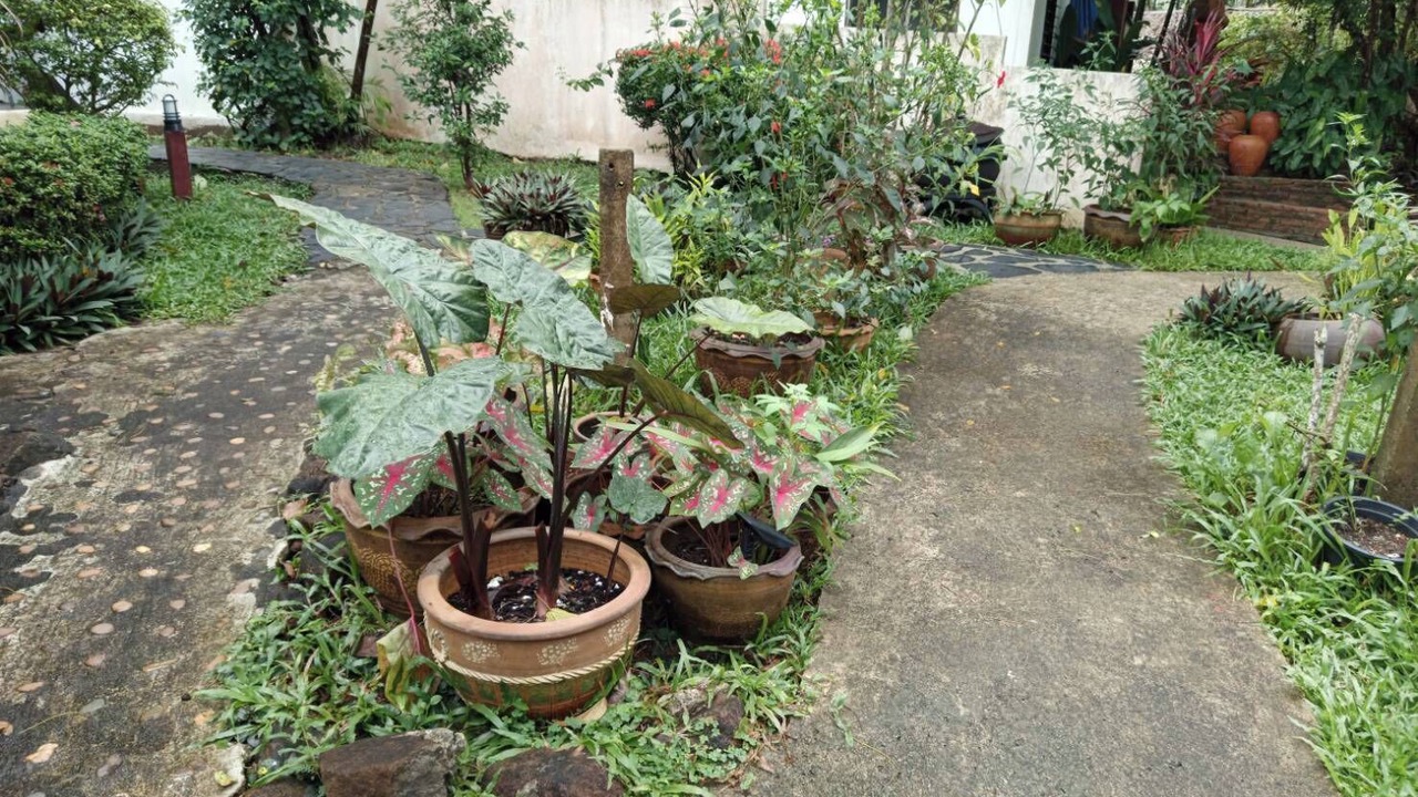 Photo of Outdoor in Bai Lan