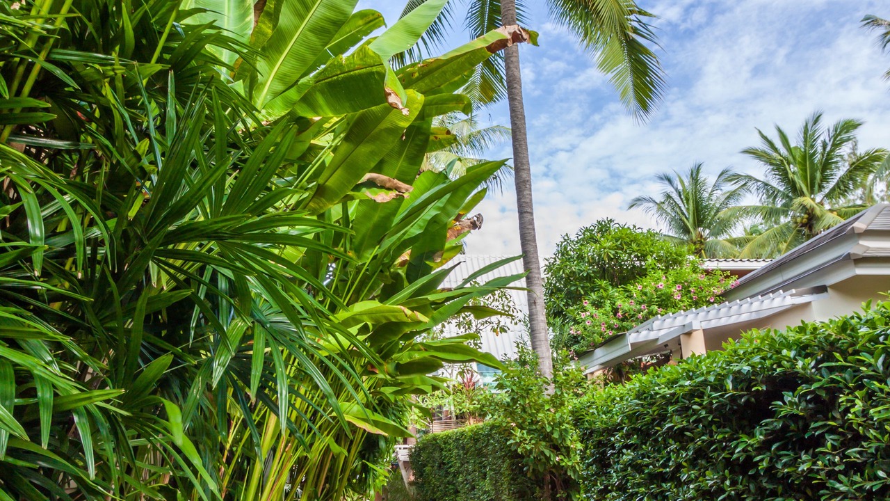 Photo of Outdoor in Prachuap Khiri Khan