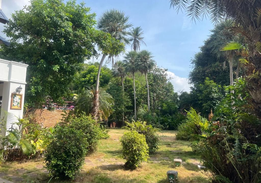 Photo of Outdoor in Lamai City Center