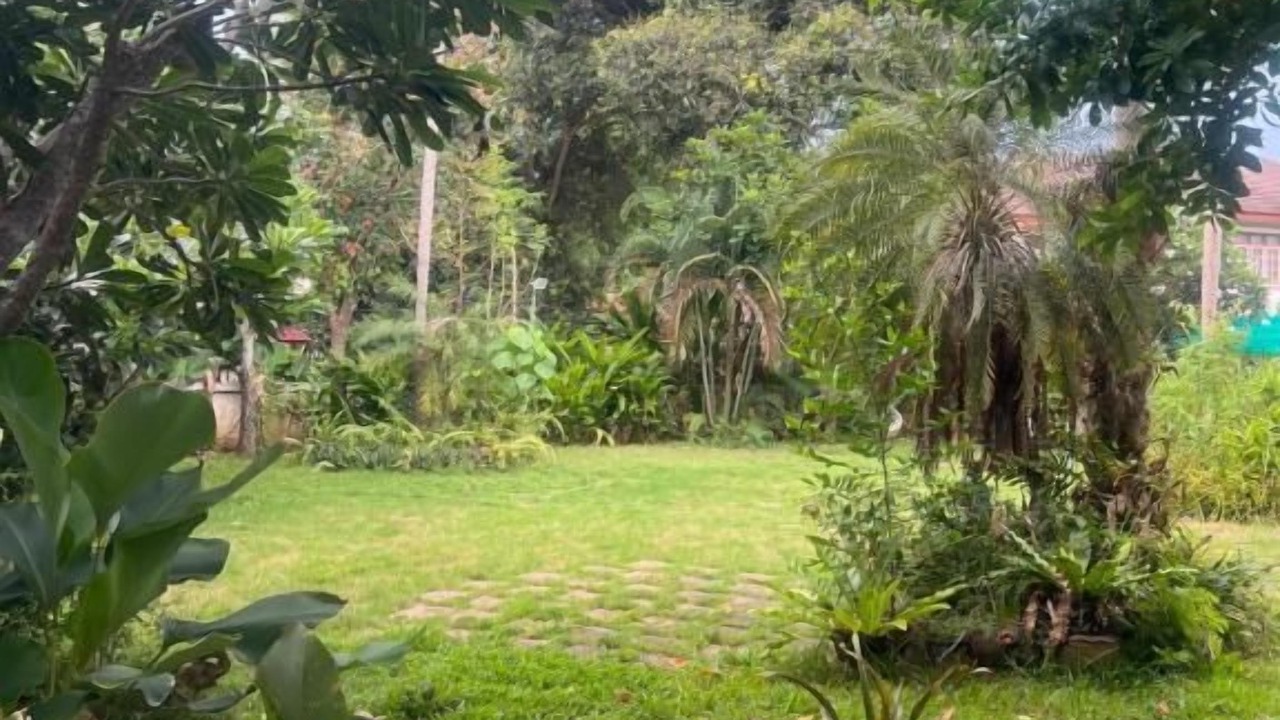Photo of Outdoor in Lamai City Center