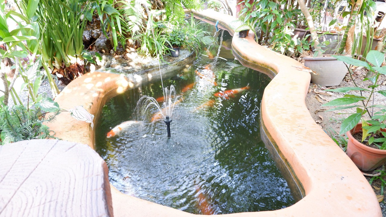 Photo of Outdoor in Mai Khao