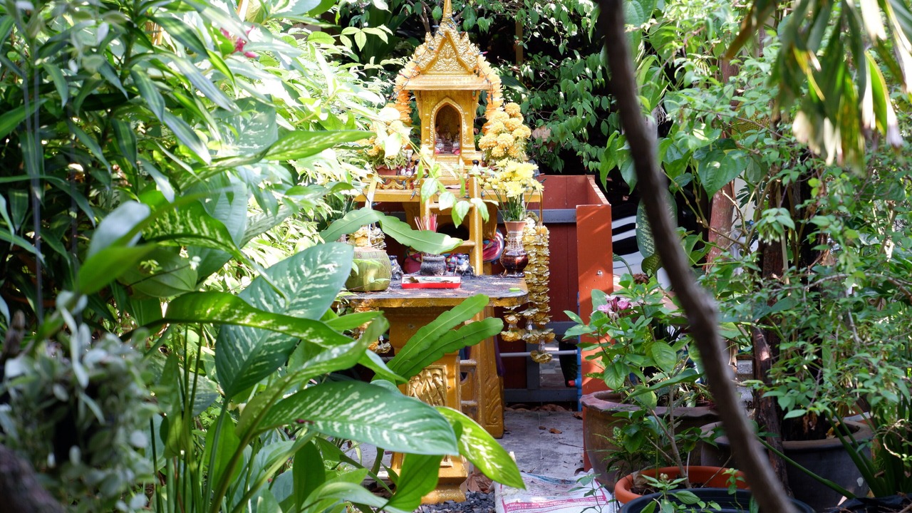 Photo of Outdoor in Mai Khao