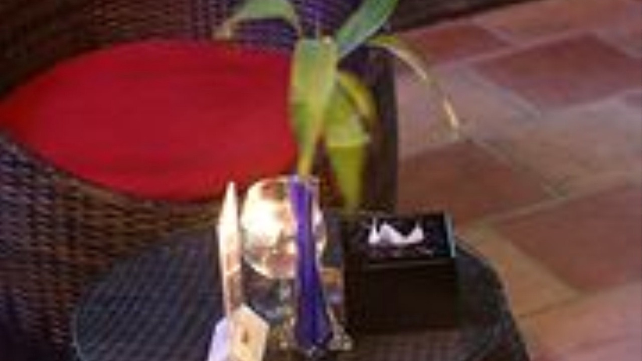 Photo of Others in Daun Penh