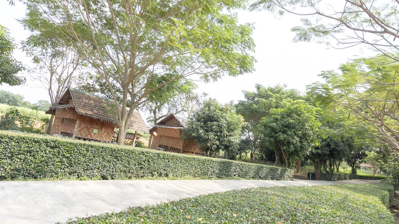 Photo of Outdoor in Klon Do