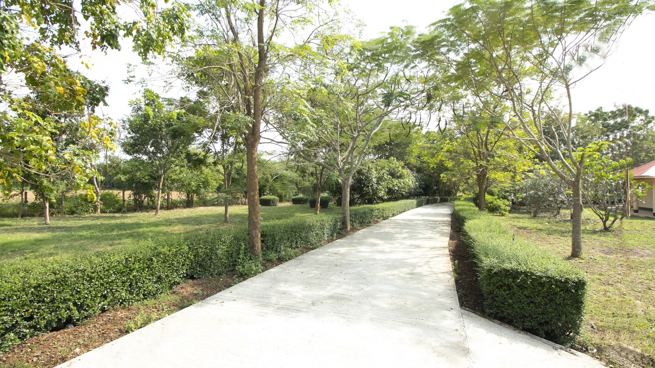 Photo of Outdoor in Klon Do