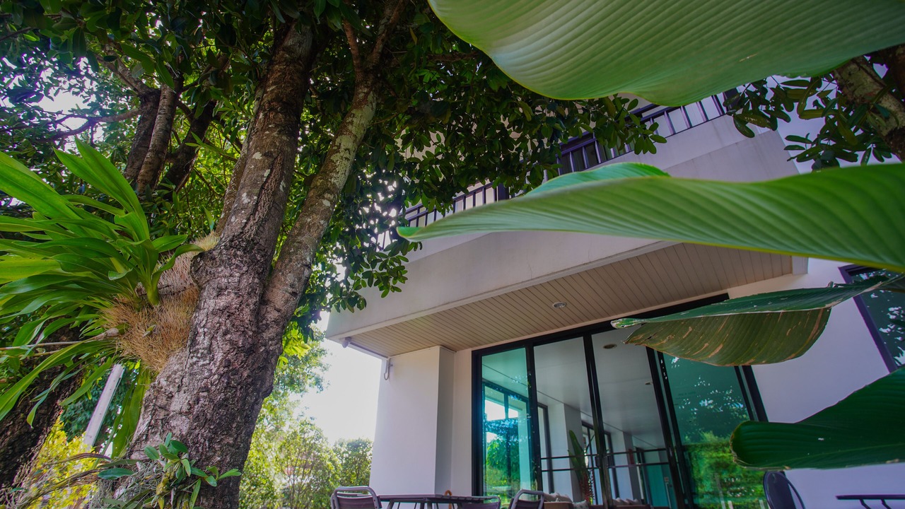 Photo of Outdoor in Chang Phueak