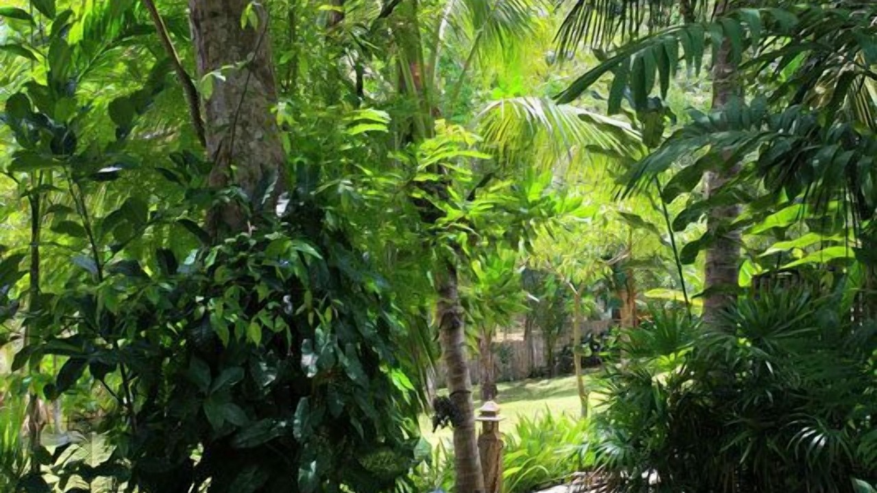 Photo of Outdoor in Ao Nang