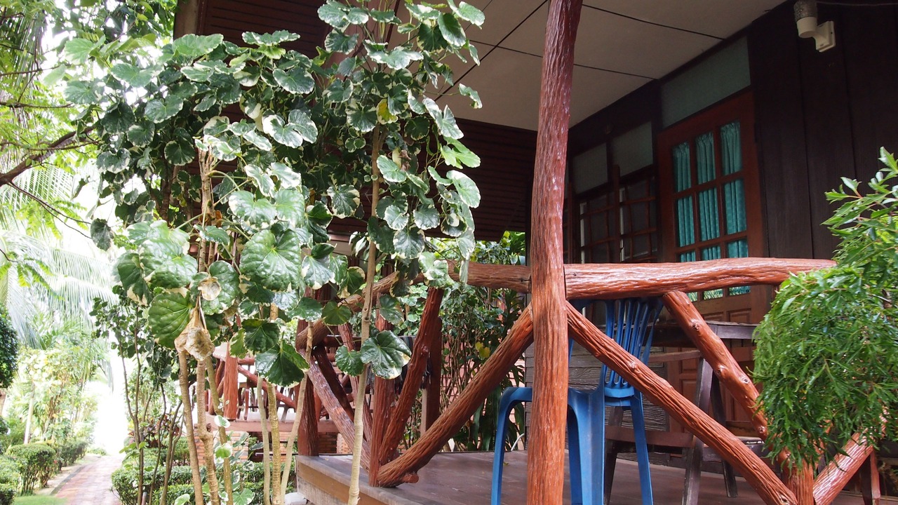 Photo of Outdoor in Mae Nam