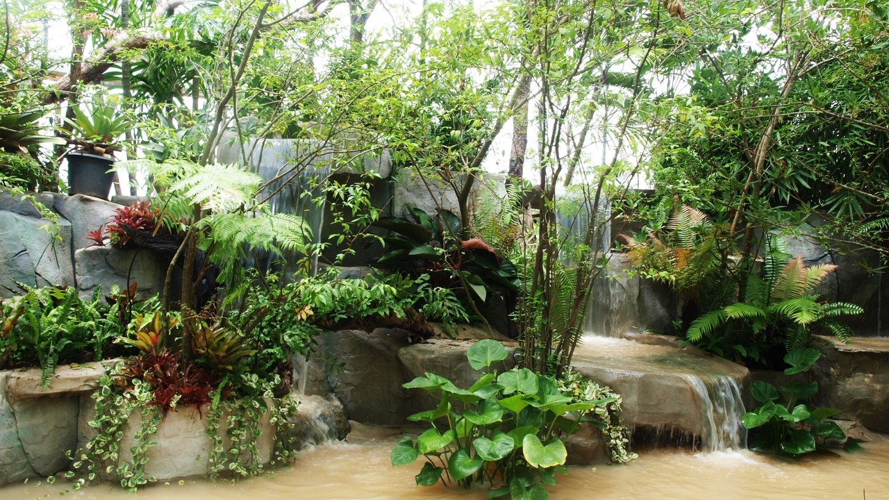 Photo of Outdoor in Phitsanulok