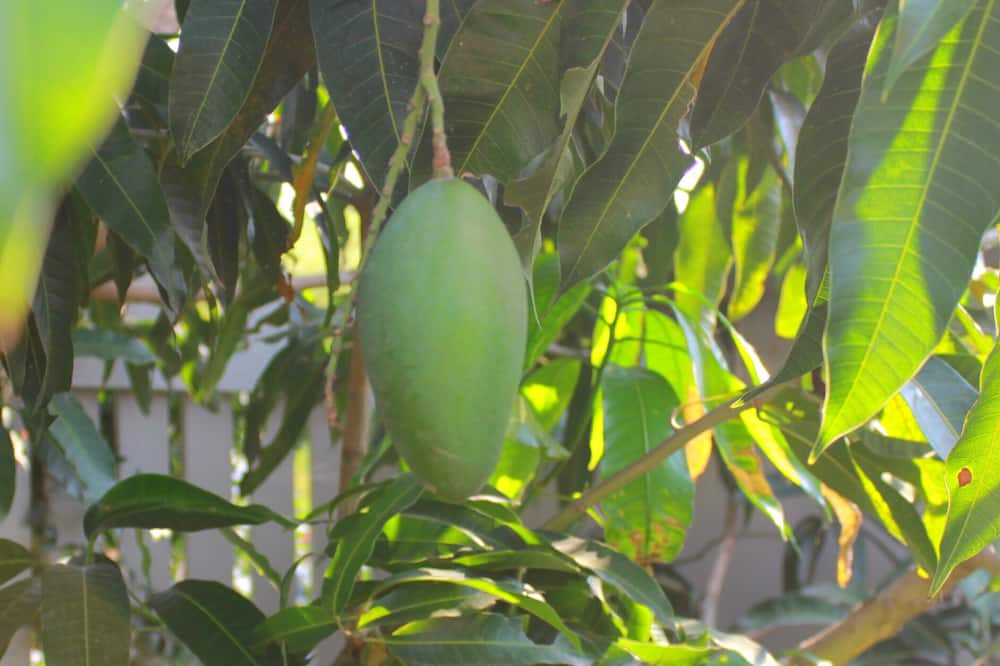 Photo of Outdoor in Cha-am