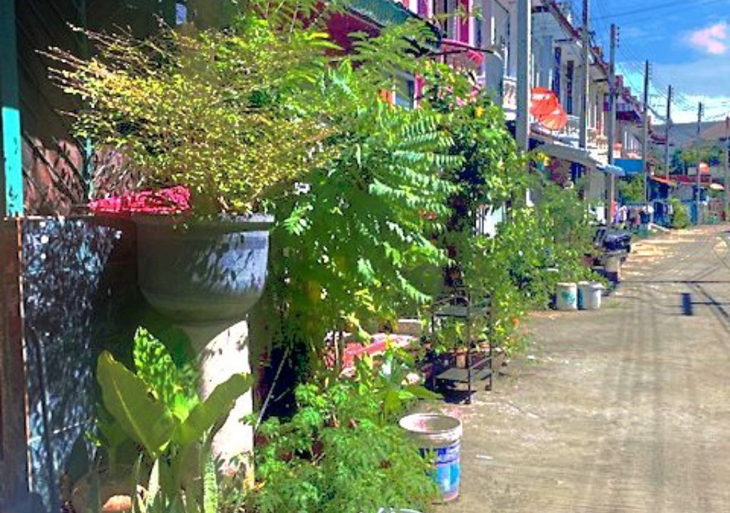 Photo of Outdoor in Hai Ya