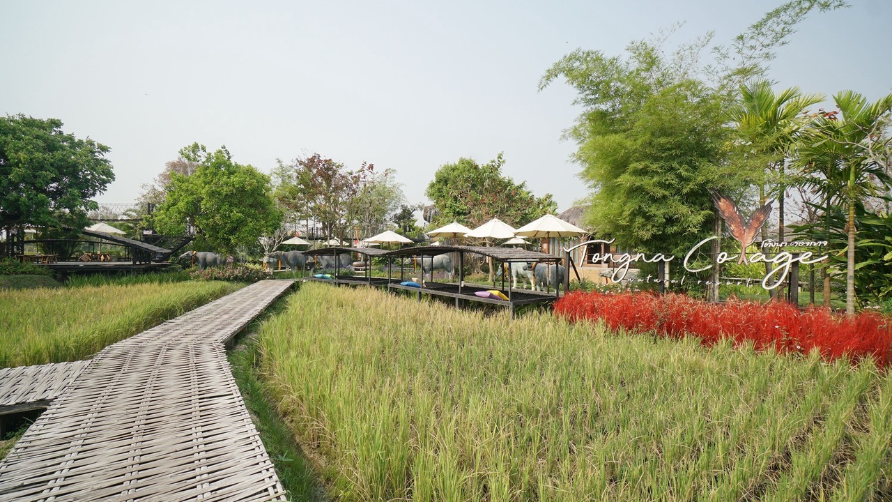 Photo of Others in Hang Dong