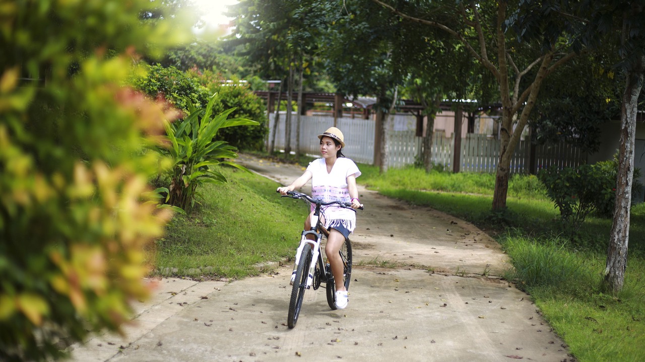 Photo of Others in Thong Pha Phum