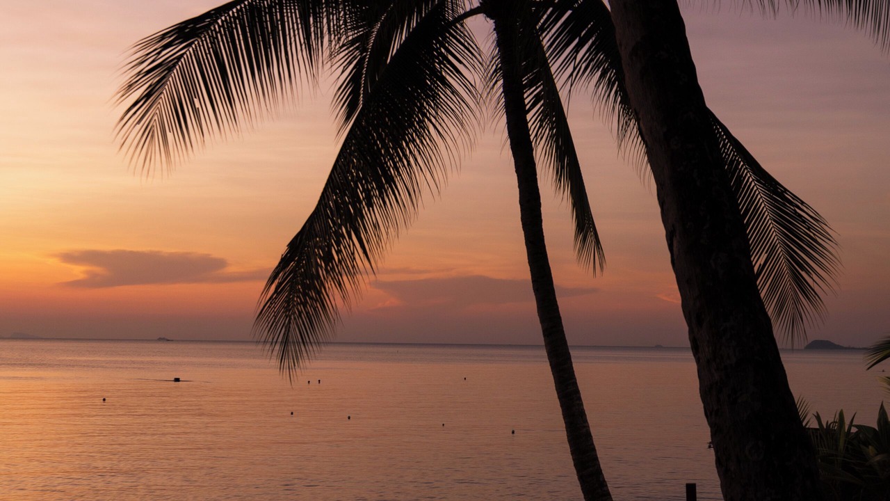 Photo of Others in Lipa Noi