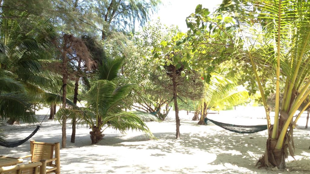 Photo of Outdoor in Chaloklum